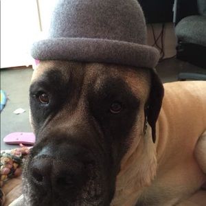 Meet your Posher, Ella